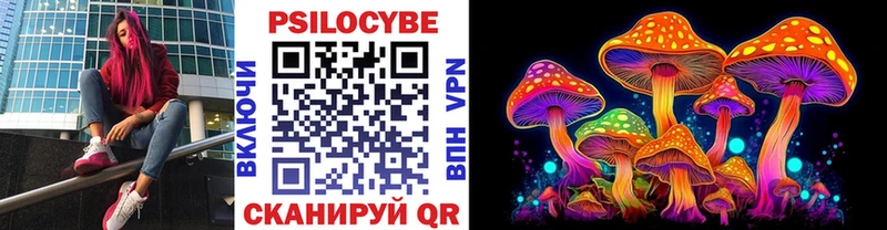 Псилоцибиновые грибы прущие грибы  даркнет сайт  Шуя 